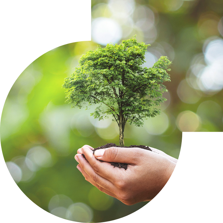 關懷人類、文化、環境與社會